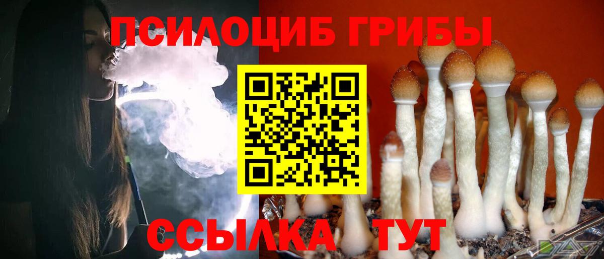 цены наркотик  Вход с VPN  Спасск-Дальний  Псилоцибиновые грибы Psilocybe 